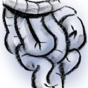 Read more about the article IS YOUR GUT MICROBIOME LINKED TO THE SEVERITY OF COVID 19?