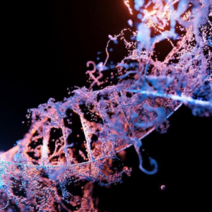 Read more about the article THE NEGATIVE IMPACT OF SOCIAL NETWORKING IN OUR LIVES